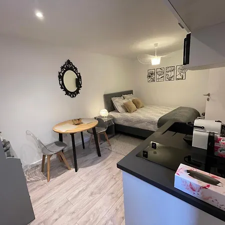 Le Patcho Charmant Studio Confortable & Chaleureux , Idealement Situe Proche Centre Ville Quartier Neustadt Tribunal, Contades Straatsburg Buitenkant foto