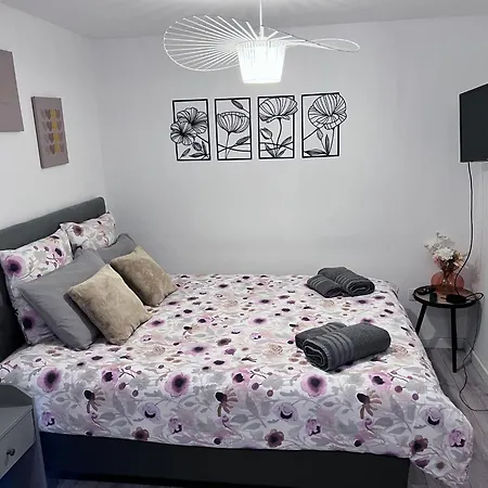 Le Patcho Charmant Studio Confortable & Chaleureux , Idealement Situe Proche Centre Ville Quartier Neustadt Tribunal, Contades Straatsburg Buitenkant foto