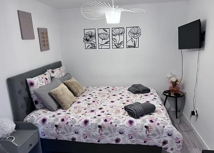 Le Patcho Charmant Studio Confortable & Chaleureux , Idealement Situe Proche Centre Ville Quartier Neustadt Tribunal, Contades