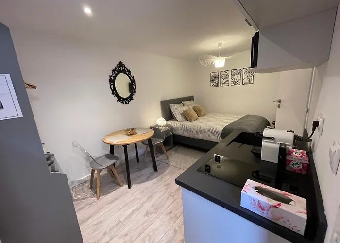 Le Patcho Charmant Studio Confortable & Chaleureux , Idealement Situe Proche Centre Ville Quartier Neustadt Tribunal, Contades